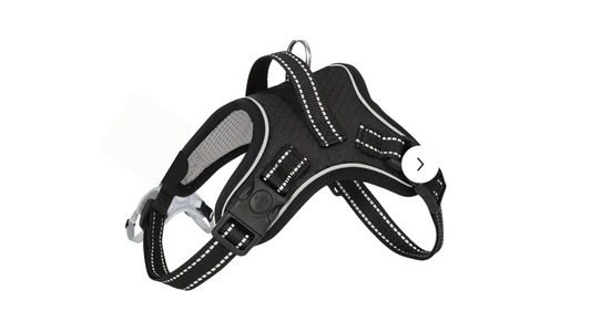 Dog-Harness Outdoor Adjustables Pet Vest Oxford Chest Strap For Small - Medium /Large Dogs Walking Training. Color - Various, Black Shown