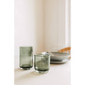 Agave Bubbled Glass Tumbler 12 oz drinking glass