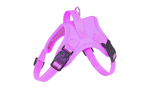 Dog-Harness Outdoor Adjustables Pet Vest Oxford Chest Strap For Small - Medium /Large Dogs Walking Training. Color - Various, Black Shown