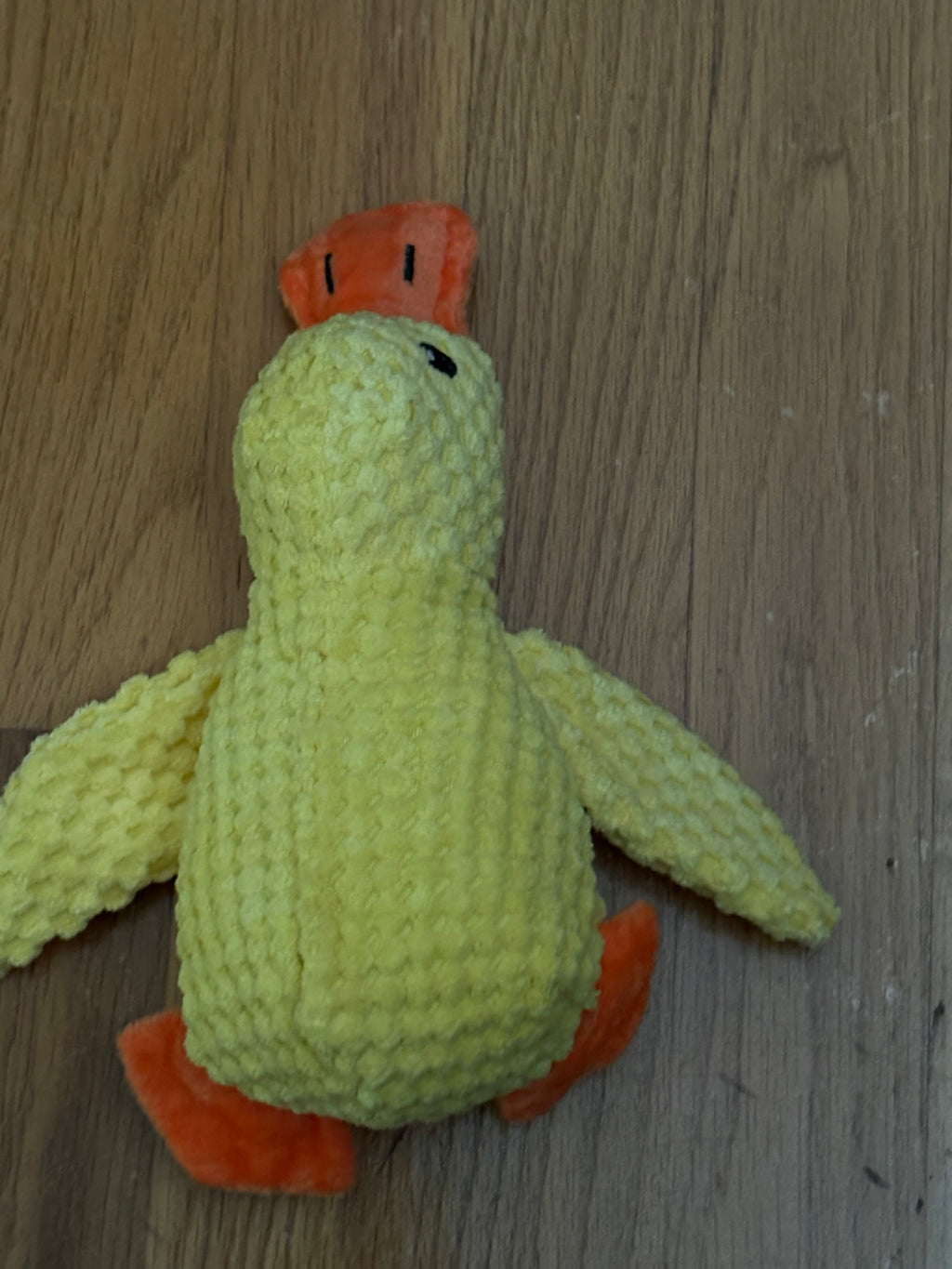 Calming Duck Dog Chew & Squeak Toy