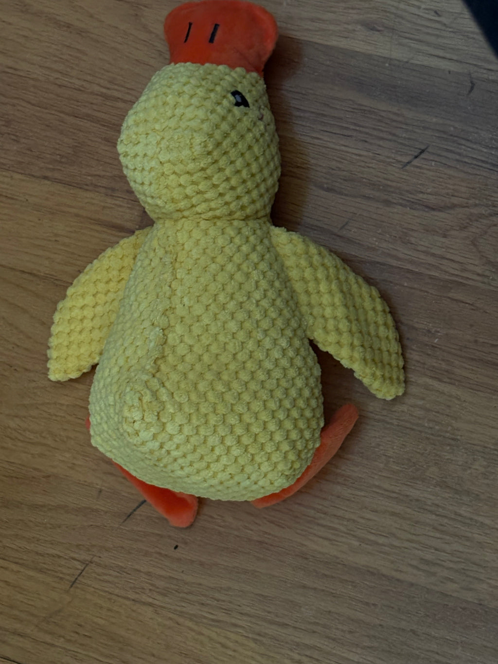 Calming Duck Dog Chew & Squeak Toy
