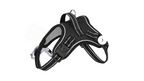 adjustable dog harness for walking