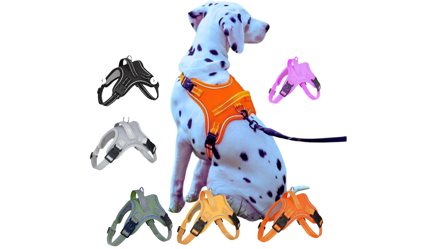 Dog-Harness Outdoor Adjustables Pet Vest Oxford Chest Strap For Small - Medium /Large Dogs Walking Training. Color - Various, Green Military Camauflage Shown
