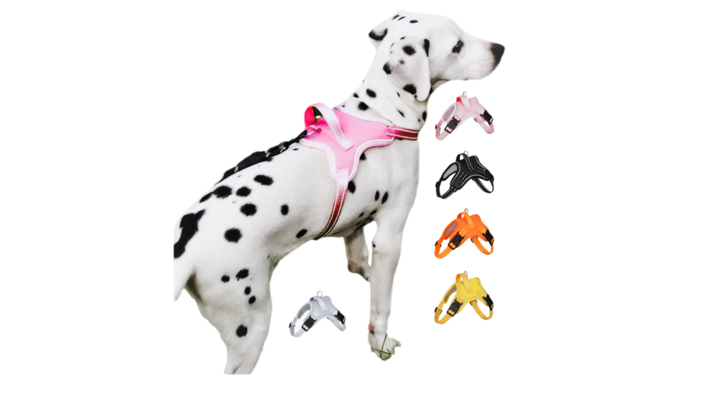 Dog-Harness Outdoor Adjustables Pet Vest Oxford Chest Strap For Small - Medium /Large Dogs Walking Training. Color - Various, Green Military Camauflage Shown