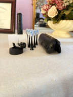 Sonic Electric Toothbrush Set – 5 Brush Heads & Travel Case