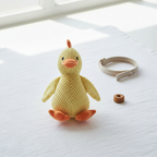 Duck Toy Flat Lay