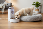 Small Fluffy Dog Drinking from Gravity Water Dispenser